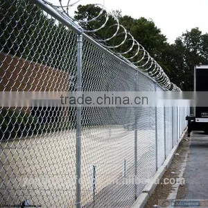 Barb Wire and Razor Wire thumbnail-1