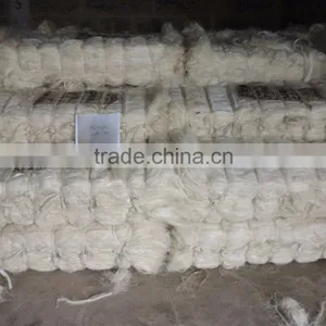Ug, Ssug Natural Raw Sisal Fiber, Sisal Fibre Grade thumbnail-1