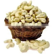 Vietnam Cashew Kernels Grade WW320, WW450, WS for Asia Market thumbnail-1