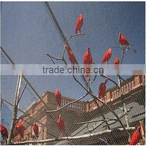 Zoo Mesh/aviary Mesh/stainless Steel Bird Netting thumbnail-1