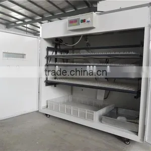 HTC-8 1056 Mini Egg Incubator With Humidifier/big Factory Incubator/egg Hatcher Machine thumbnail-2