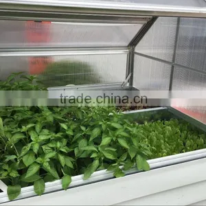 Plant Inn Greenhouse thumbnail-2