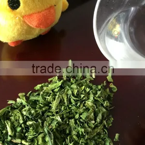 Dehydrated Coriander thumbnail-3