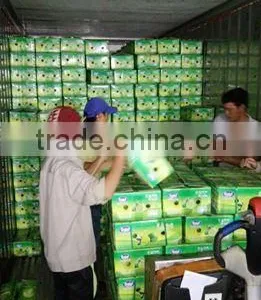 Product Quality of Hkvimex Viet Nam Lemon thumbnail-4