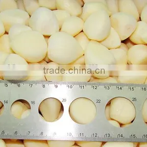 Factory of Frozen Peeled Garlic thumbnail-2