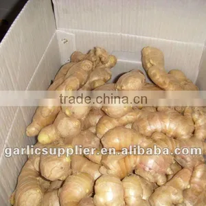 2011 Crop Air Dried Ginger thumbnail-1