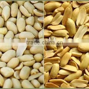 Shandong New Crop Blanched Peanut Kernels thumbnail-2