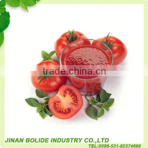 Ketchup Paste With High Quality and Good Taste thumbnail-1