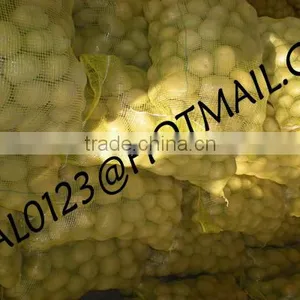 BANGLADESHI HIGH QUALITY FRESH GRANOLA POTATO AND DIAMOND POTATO FROM EXPORT TRADE ASSOCIATE WITH CHEAP PRICE thumbnail-5
