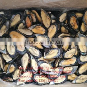 Blue Mussel Frozen High Quality Half Shell Mussel thumbnail-2