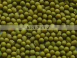 Organic Mung Bean thumbnail-1