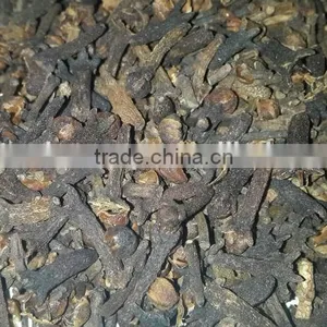 Cloves thumbnail-1