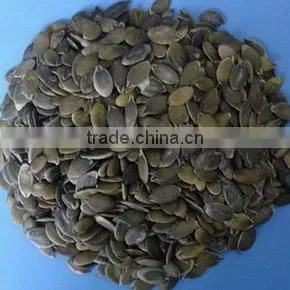 Pumpkin Seeds for Oil thumbnail-1