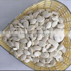 Heilongjiang Good Quality of Raw Snow Pumpkin Seed Factory Sale to Iran Market thumbnail-3