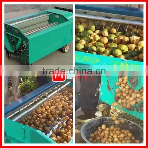 CHEAP PRICE AUTOMATIC Walnut Shell Breaking Machine/walnut Peeling thumbnail-5