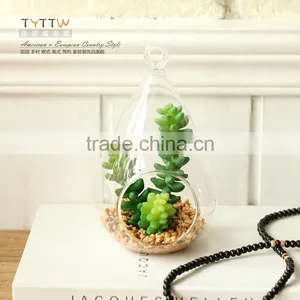 Micro Landscape Ecological Water Drop Cone Shape Meaty Plant Glass Vase DIY Glass Bottles Moss 16L009 thumbnail-1
