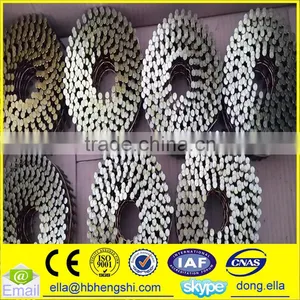 Industry Use Cheap Stainless Steel Coil Nail thumbnail-2