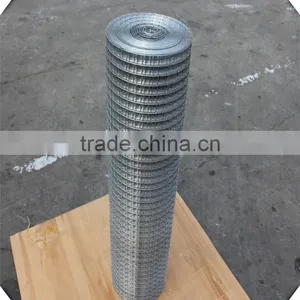 1*30m PVC Coated Welded Wire Mesh / 1*20m 1/2 Inch Galvanized Welded Wire Mesh Cheap thumbnail-2