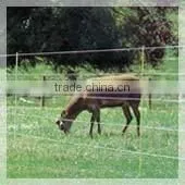 Electrical Fence,fiberglass Post, FRP Post for Electrical Fence System thumbnail-1