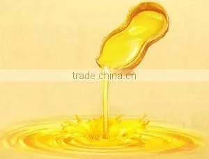 A Professional of Pressing Peanut Oil Machine / Peanut Oil Press Machine thumbnail-3