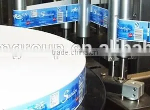 Hot Sale Commercial Used Bottle Labeling Machine thumbnail-3