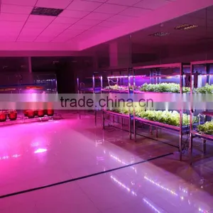 Mars-Hydro Led Grow Light Bar Strips Indoor Plant Led Grow Light thumbnail-4