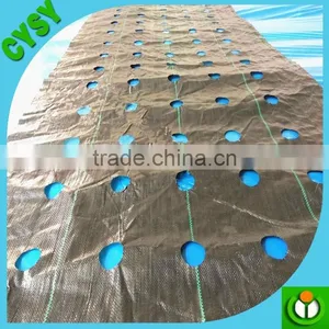 PP Ground Cover,weed Barrier Fabrics, Weed Mat in Strawberry Garden thumbnail-1