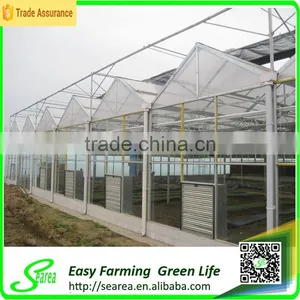 Plastic Film Agricultural Prefabricated Greenhouse for Growing thumbnail-1