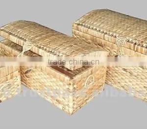 Trunk Set 3 thumbnail-1