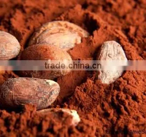 Alkalized Cocoa Powder thumbnail-4