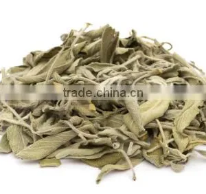 Sage Leaves Dry thumbnail-1