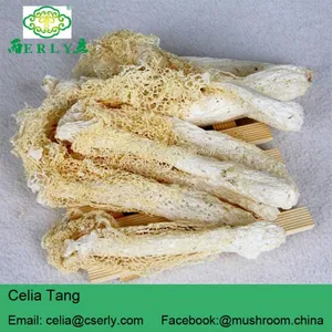 Wild Growing Mushroom Bamboo Fungus Tasty Dictyophora thumbnail-5