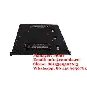 Triconex 4000043-332 thumbnail-2