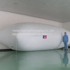 Cheaper Price for Flexitank/ Flexibag /Flexi Tank/Flexi Bag Manufacturer With COA thumbnail-2