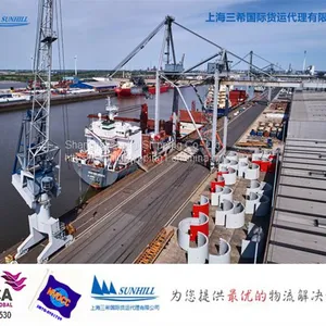SHANGHAI to HONIARA Break Bulk Cargo Freight Rate Shipping Logistics thumbnail-3