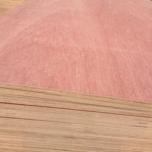 [Aceall Wood] Commercial Plywood thumbnail-3