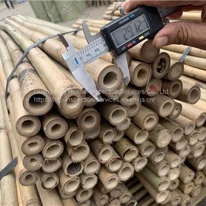 Bamboo Products Inspection Services and Quality Control of Guangdong Huajian Inspection Co., Ltd thumbnail-1