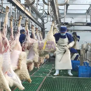 WFA Factory Customized Sheep Slaughterhouse Abattoir Equipment Carcass Processing Convey Rail For Goat Slaughter Machine thumbnail-2