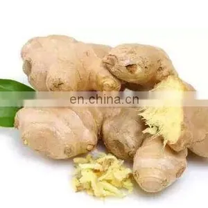 Ginger Drying Machine thumbnail-3