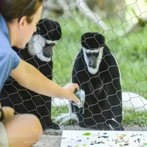 Flexible Ss Rope Mesh Chimpanzee/Pongidae/Primates/Animal Enclosure thumbnail-2