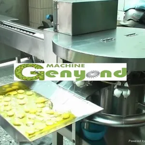 Pasteurized Egg Liquid Processing Line, Pasteurized Egg Yolk and White Production thumbnail-5