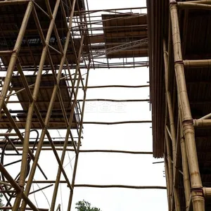 Scaffolding thumbnail-1