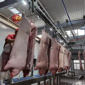 HACCP Pig Swine Slaughterhouse Line Abattoir Machine Meat Processing Plants Industrial Slaughterhouse Machinery Installation thumbnail-1