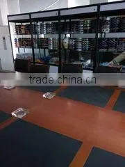 Lanxi VIS Sports Company Limited company overview - view 2 thumbnail