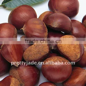 Chinese Chestnut High Quality & Low Price thumbnail-1