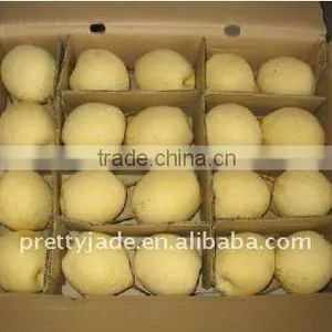 Fresh Ya Pear for Sale thumbnail-1