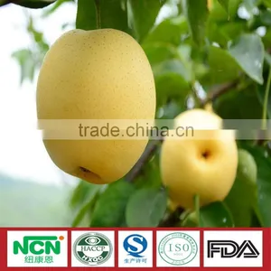 Grown Pear thumbnail-1