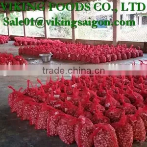 FRESH RED ONION _ FROM VIET NAM thumbnail-2