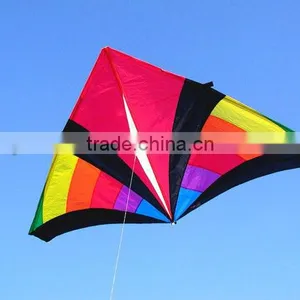 Delta Kite thumbnail-1