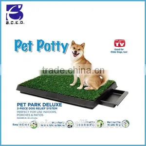 Puppy Potty Training Grass thumbnail-1